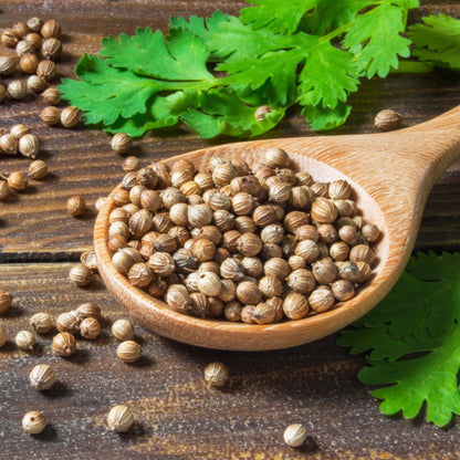 Sukha Dhania (Coriander Seeds)
